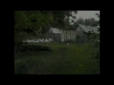 Видео: Созерцание по-деревенски