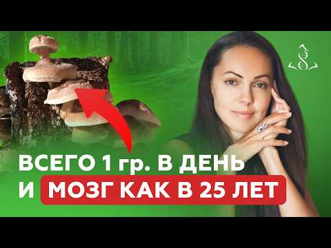 Видео: Всего 1 гр. в день и будет ТАКОЙ результат | Как ГРИБЫ влияют на наш организм?