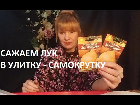 Видео: Лук эксибишен. Посадка в улитку - самокрутку.