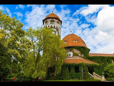 Видео: Светлогорск. Попали в  Парк Янтарного периода.