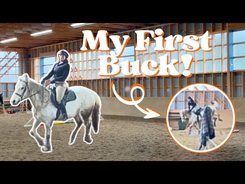 Видео: БЕЗУМНЫЙ УРОК ВЕРХОВОЙ ЕЗДЫ! | Я падаю и торчу от счастья!!!