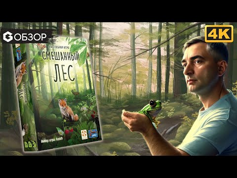 Видео: СМЕШАННЫЙ ЛЕС - ОБЗОР | настольная игра Forest Shuffle | Geek Media 4K