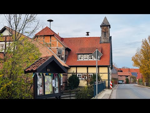 Видео: «Под лаской плюшевого пледа» (О немецкой осени, большевиках и Марине Цветаевой).