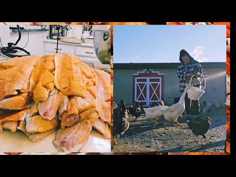 Видео: БУДЕМ КОПТИТЬ РЫБУ ФОРЕЛЬ .СЕЛЬЧАНКА В АМЕРИКЕ. 