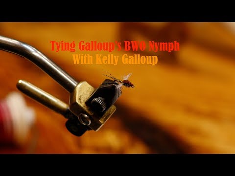 Видео: Связывание нимфы БВО Гэллоупа