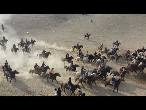 Видео: Бузкаши 2025