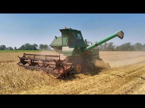 Видео: Уборка ячменя, день второй. Убираем комбайном СК - 5 Нива #нагидростатике