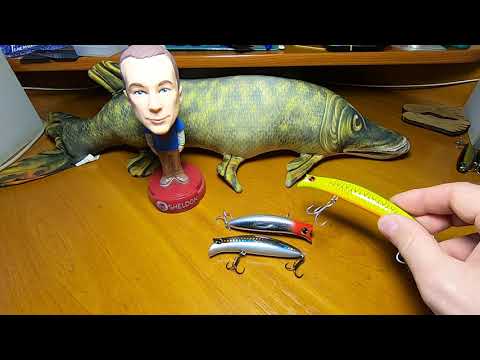Видео: Топ-5 топвотеров на щуку
