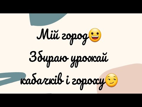 Видео: Мій город) Збираю урожай кабачків і гороху) Мега урожай кабачків) Екскурсія городом)