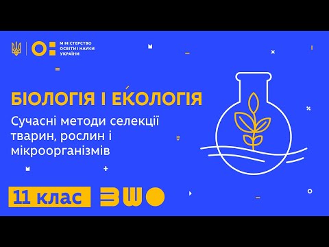 Видео: 11 клас. Біологія і екологія. Сучасні методи селекції тварин, рослин і мікроорганізмів