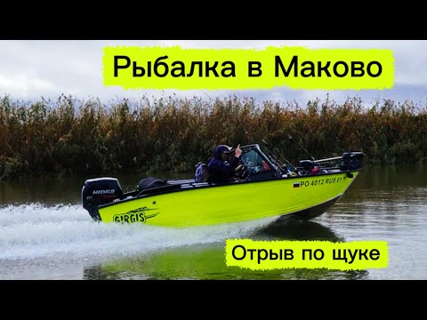 Видео: Рыбалка в Маково на лодках Гиргис 440 Фиш. Проверка новой лодке в деле. Нереальный отрыв по щуке. 