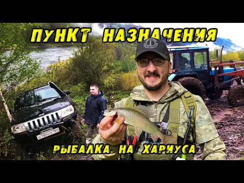 Видео: ПУНКТ НАЗНАЧЕНИЯ! Добраться ЛЮБОЙ ЦЕНОЙ! Самая ДОРОГАЯ рыбалка на ХАРИУСА в долине реки Чарыш. Jeep.