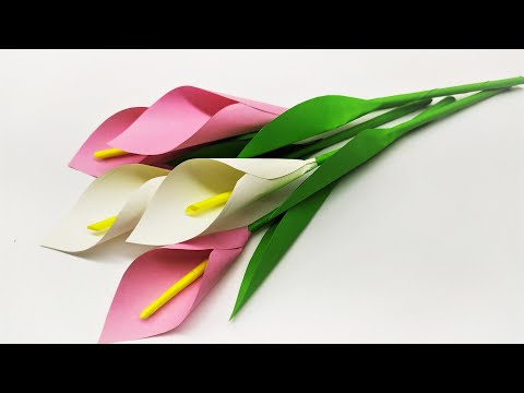 Видео: ЦВЕТЫ ИЗ БУМАГИ. КАЛЛЫ ЛИЛИИ. ORIGAMI flowers