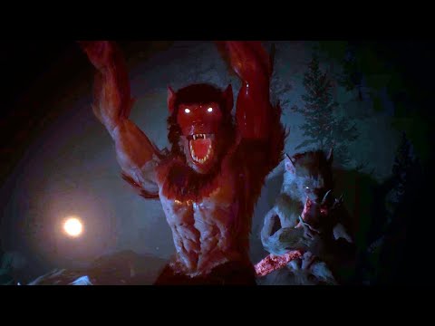 Видео: Аномалии в музее таксидермии // Project 13: Taxidermy Trails