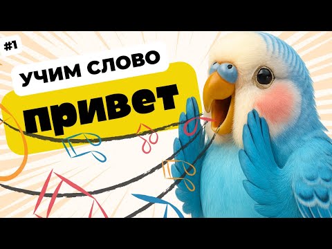 Видео: Научите Попугая Говорить «ПРИВЕТ» | Уроки для Волнистых, Жако и Амазонов