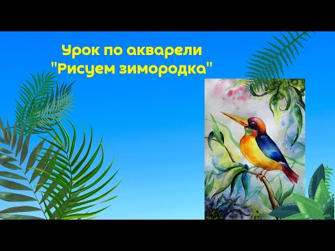 Видео: Рисуем зимородка