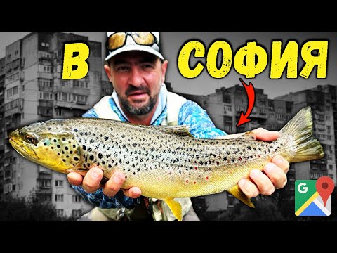 Видео: Проверихме ЗАРИБЕНИЯ участък на р. ИСКЪР под ПАНЧАРЕВО и ХВАНАХ ТРОФЕЙНА БАЛКАНСКА ПЪСТЪРВА