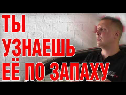 Видео: Как узнать, что автомобиль не утопленник. Куда смотреть, как проверить?