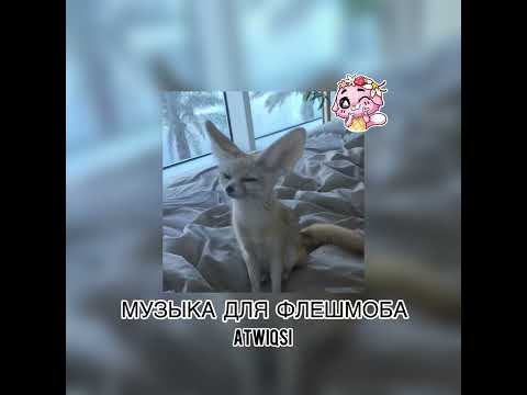 Видео: музыка для флешмоба❤️‍🔥