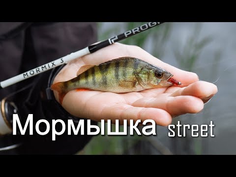 Видео: МИКРО НАНО МОРМО! Момышинг на все случаи жизни.