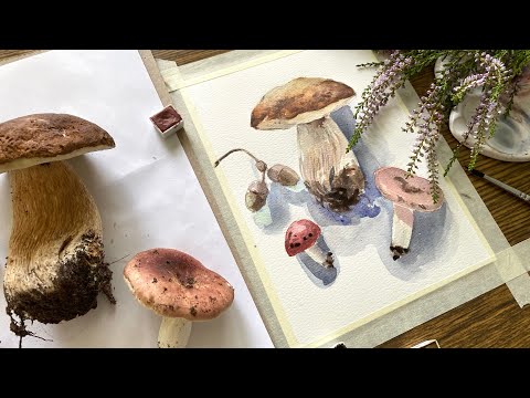 Видео: Уроки рисования. Рисуем акварелью грибы с натуры 🍄‍🟫