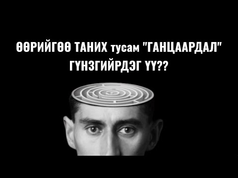 Видео: Илүү ухаарах тусам... Илүү ганцаардана??