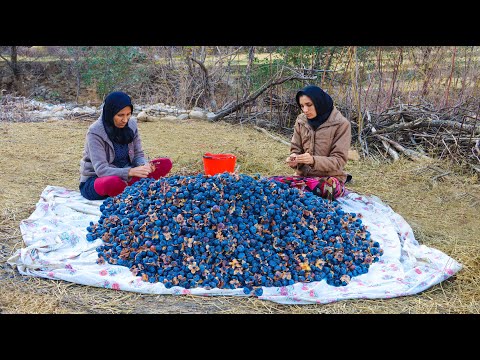 Видео: Осенняя рутина жизни деревенской семьи | Сбор странного плода в горах