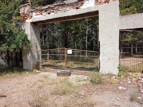 Видео: поделение звездец 08-22