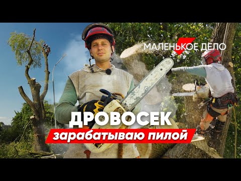 Видео: Как я стал зарабатывать на спиле старых деревьев