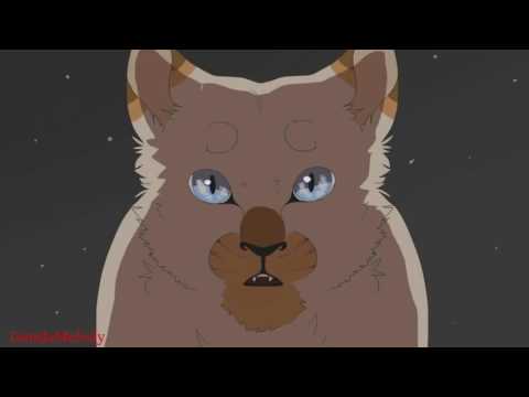 Видео: Звездоцап - Open Your Eyes.