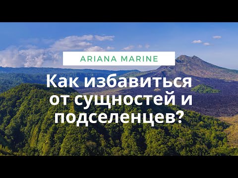 Видео: Как самостоятельно избавиться от сущностей и подселенцев в энергополе?