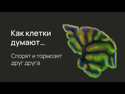 Видео: Сумма всех синапсов: как нейрон превращает хаос в действие