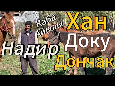 Видео: Надир акеден ХАН&дАКАН& ДОНЧАК чыкты