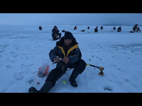Видео: Ловля на Каме. Рыбалка в последний день Зимы