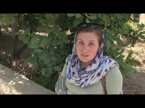 Видео: ПАЛОМНИКИ-ОНЛАЙН—2019. Вифания. Воскрешение Лазаря