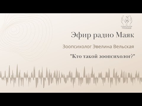 Видео: Кто такой зоопсихолог? Эфир радио Маяк