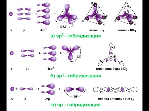 Видео: 10-сынып. 1-бөлім. Гибридтену түрлері sp, ap2, sp3
