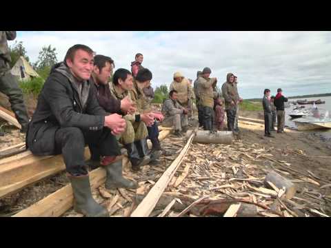 Видео: Мертвая дорога 2014. Часть 1
