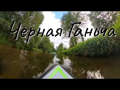 Видео: Черная Ганьча 2025