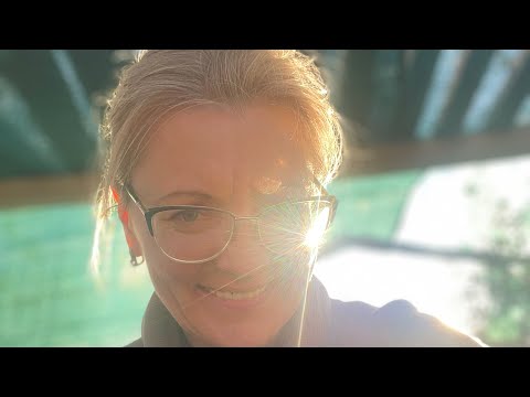 Видео: Щеплення. Результати весняних експериментів. #щеплення #весна #осінь 
