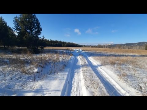 Видео: У Волков начался гон / охота на Волка в Бурятии