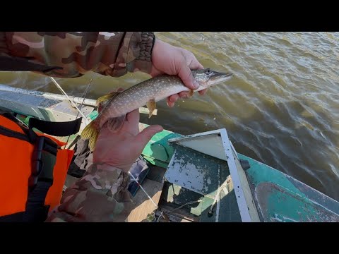 Видео: Безумная рыбалка на лодке!