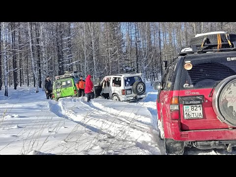 Видео: 17.11.2024 Заячий базар. Эвакуация ВКО Риддер