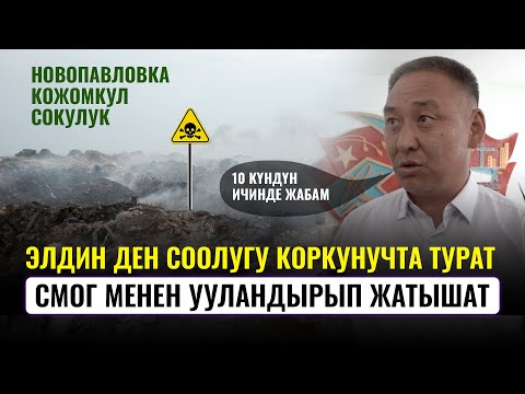 Видео: Бул-кечирилгис кылмыш! Тынчтык конушунун эли таштандыдан чыккан ышты токтотууну талап кылып чыгышты
