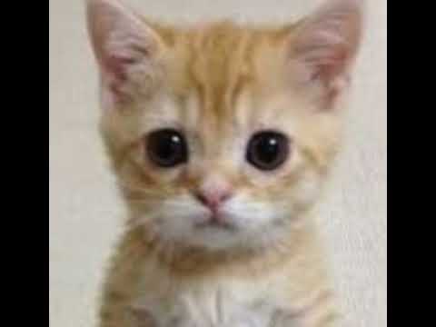 Видео: Комбинация-Не забывай(speed up)