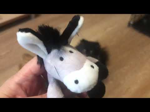 Видео: Шпицам Хлое и Черри исполнился 1 годик☺️🥳, собаки пробуют козий рог 😋