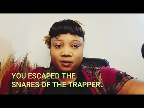 Видео: ЗЛОПЬЕ ЗЛА ПРЕКРАЩЕНО.