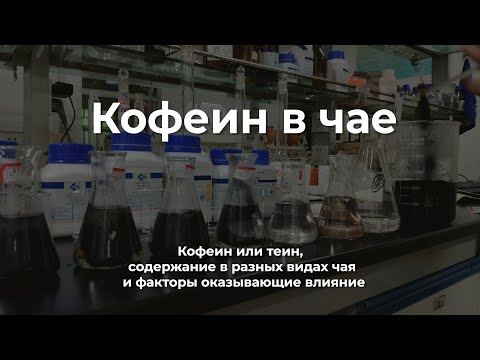 Видео: Кофеин в чае. В каком чае содержится больше кофеина? Кофеин или теин?
