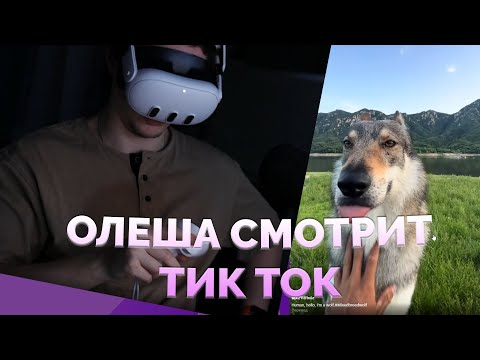 Видео: Олеша смотрит ТИК ТОК