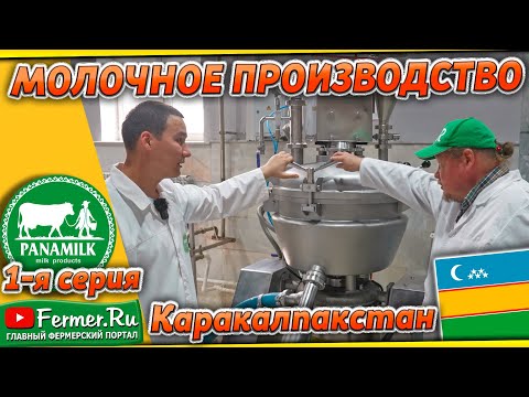 Видео: Современное производство по переработке молока в Узбекистане. Panamilk. Сыроварня. Каракалпакстан.